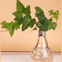 Przezroczyste szklane wazony wazon kształt żarówki hydroponicznych pojemnik Terrarium roślin doniczka wazon dekoracje do domoweg