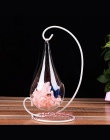 Stół szkło wiszący wazon w kształcie kropli wody rośliny butelka wazon szklany wazon Terrarium stoczni dekoracje do przydomowego