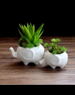 Doniczki sadzarki biały słoń ceramiczne pote de vidro na sprzedaż ogród doniczki kwiat vasi macetas garnek fleur bonsai doniczki