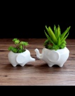 Doniczki sadzarki biały słoń ceramiczne pote de vidro na sprzedaż ogród doniczki kwiat vasi macetas garnek fleur bonsai doniczki