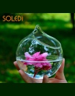 Szklana wisząca wazon wiszące Terrarium szklane wazon sadzarka pojemnik biuro