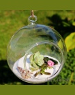 1 pc 6/8/10 cm wiszące okrągłe szklane powietrza roślin terraria kulki kwiat Globe wazon na ślub dekoracje
