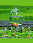 Kreatywny przezroczysty szklana wisząca wazony akwarium zbiorniki na ryby ręcznie robione dekoracje wiszące miska do domu stół D