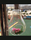 2018 nowy szklana lampa kształt lampy kwiat roślina wodna wiszący wazon hydroponicznych pojemnik Pot Home Office Wedding Decor D