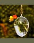 Jasne jaj kształt szkła wiszący wazon butelka roślin DIY domu ślubne dekoracje ogrodowe przezroczysty kwiat dekoracyjny do domu 