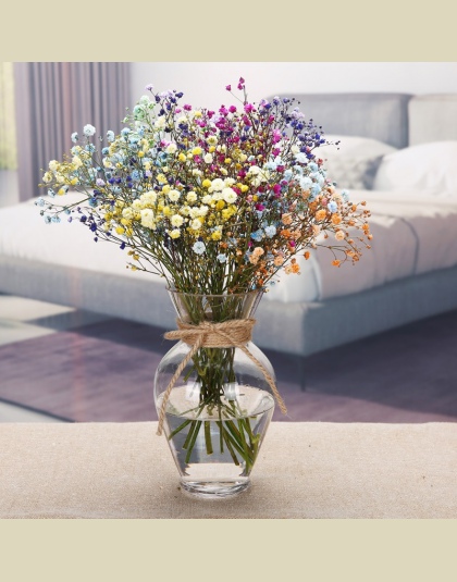 Przezroczyste Multicolor szklany wazon Terrarium pojemniki szklane wazony kwiatowe dekoracje ślubne Centerpieces stół doniczka
