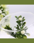 Statywu wsparcie szkło okrągłe roślin kwiat krajobraz wazon pojemnik przezroczyste hydroponicznych wazon Fish Tank akwarium w st