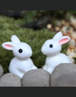 2019 2 sztuk piękny żywicy rośliny królik słodkie mikro krajobraz soczyste ozdoby roślin dekoracji ogród miniatury DIY lalki