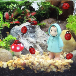 100 sztuk drewniane miniaturowe biedronka biedronka ogród ozdoba figurka bajki domek dla lalek wystrój (kolor: czerwony)