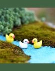 Swan konia kaczka delfin Mini żywica figurki ogrodowe Microlandschaft ustawienie miniatury 5 sztuk/zestaw DIY kurczaka Kawaii