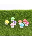 8 sztuk/zestaw kawaii ozdoby grzyby Fairy Garden miniatury dekoracyjne Micro krajobraz Bonsai roślin ogrodnictwo losowy kolor