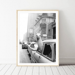 Lamy w taksówce na Times Square, zdjęcia na płótnie oraz plakat w stylu Vintage lama drukuj nowy jork miasto zdjęcie obraz na śc