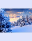 Zdjęcia według numerów diy obraz olejny na płótnie numerami akrylowe rysunek farby według numeru świt śnieg rzeki Y094