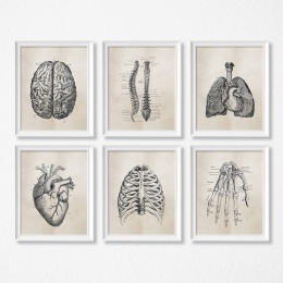 Nowoczesny obraz na płótnie plakat anatomia człowieka medyczny awangardowy oryginalny modny czarno biały
