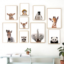 Nordic plakaty i reprodukcje słoń Zebra żyrafa Panda Koala zwierzęta obraz ścienny na płótnie obrazy ścienne dla dzieci wystrój 