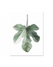 Strefa sztuki tropikalnych liści roślin Canvas reprodukcja plakat Nordic zielone rośliny zdjęcia ściennego dzieci pokój duże mal