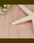 Hot 1 sztuka 10-12 cm biały naturalny palec rozgwiazda Craft dekoracje naturalne morze gwiazda DIY domek na plaży ślub wystrój D