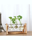Kreatywny roślina hydroponiczna przezroczyste wazon drewniana rama kawiarnia wystrój pokoju