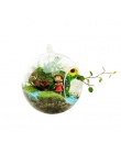 Hot wyczyść okrągły szklana wisząca wazon z 1 otwór kwiat roślin stoisko hydroponicznych pojemnik dekoracje do domowego biura sz
