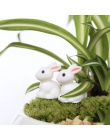 2 sztuk śliczne żywica rośliny królik Micro krajobraz soczyste ozdoby roślin dekoracji ogród miniatury DIY lalki