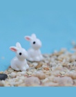 2 sztuk śliczne żywica rośliny królik Micro krajobraz soczyste ozdoby roślin dekoracji ogród miniatury DIY lalki