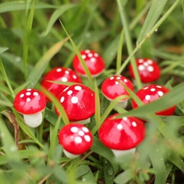 50 sztuk 2 cm/3 cm sztuczne Mini czerwony grzyb miniatury bajki ogród mech do terrarium kawaii ozdoby stosy rzemiosła dla domu
