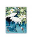 Ręcznie malowany ptaki czerwony koronowany żuraw malowanie przez numery zestawów do malowania numer obraz olejny obrazy na płótn