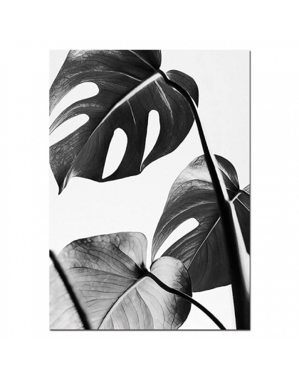 Czarny i białe ściany plakat artystyczny wzór liścia palmowego motywacyjne cytaty na płótnie malarstwo w stylu skandynawskim obr