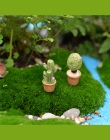 5 sztuk/1 zestaw realistyczne Mini sztuczne mięsiste kaktus roślin prawdziwy dotykowy Palm Bonsai krajobraz dekoracyjne kwiat de