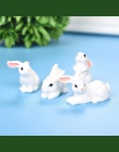 4 sztuk/zestaw nowy Kawaii żywicy biały królik figurki Bonsai Micro krajobraz domek dla lalek ozdoby Mini rzemiosło miniatury
