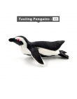 Symulacja miniaturowe ryby morskie Penguin lew morski ryby Skate ryb pił zwierząt modelu bajki rzemiosło figurka akwarium home d