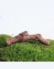Suche gałęzie drzewa kufer sukulenty mikro krajobraz dekoracje DIY akcesoria do Terrarium sztuczne Mini bajki ogród miniaturowe