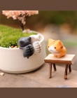 Piękne 6 sztuk/zestaw Cartoon Lucky Cat Micro krajobraz Kitten miniaturowe rzemiosło bonsai do domu ogrodu dekoracje miniatury p