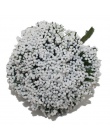 CCINEE biały kolor kwiat Rose pręcik 1mm/3mm/5mm dla narzędzie do dekoracji ciast/rzemiosło/Nylon kwiat DIY akcesoria do prezent