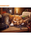 CHENISTORY bezramowe śpiący kot obraz DIY Numbers Wall Art obraz ozdobny farba akrylowa według numerów do prezent 40x50 cm