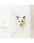 3D Hole View żywe koty naklejki ścienne toaleta wc salon lodówka dekoracji zwierząt naklejek naklejki ścienne naklejki na ścianę