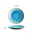 Pękanie lodu glazury ceramiczne zastawy stołowe naczynia domowe miski ryżu na parze ryby naczynia porcelanowe niebieski talerze 