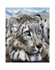 CHUNXIA oprawione obraz DIY numerami tygrys akrylowe malarstwo nowoczesne obraz ozdobny do salonu 40x50 cm RA3276