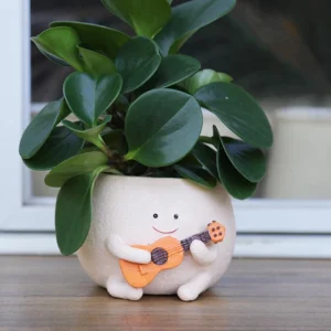 Doniczka z żywicy buźka z gitarą do sukulentów indoor Biały