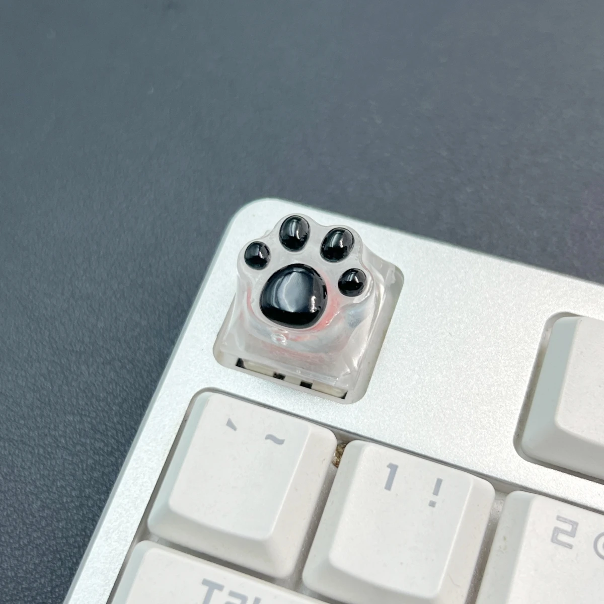 Nakładka na klawisz kocia łapka – przezroczysty keycap na trzpień krzyżowy Brązowy