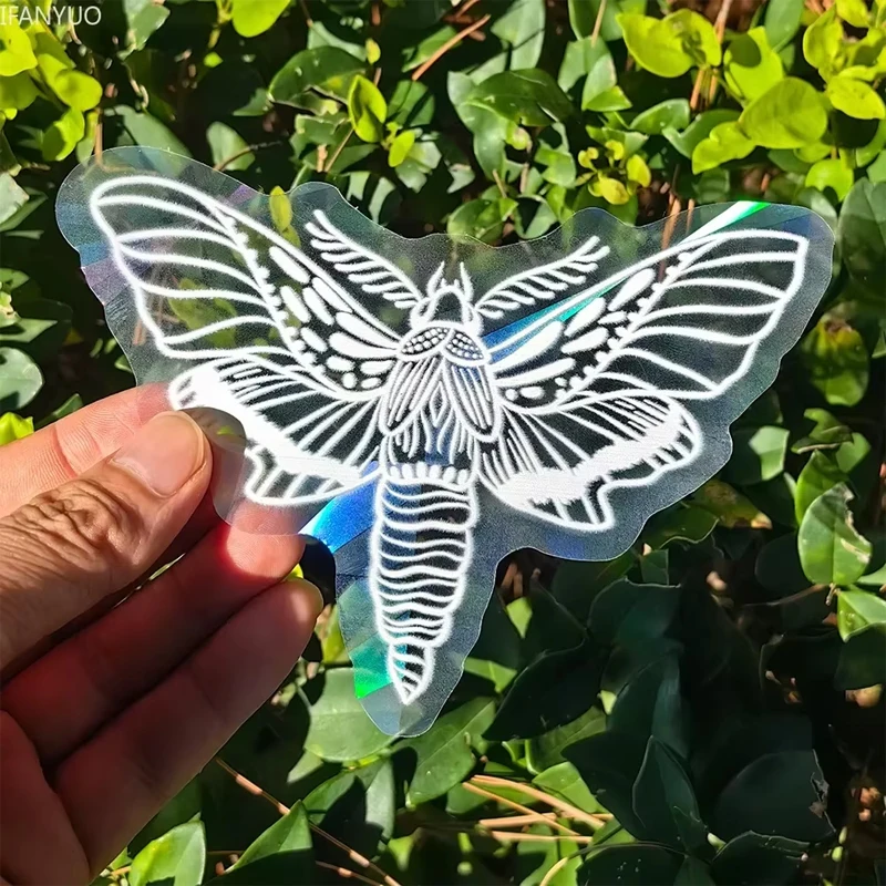 Naklejka Sun Catcher na szybę z kotem i ćmą Ciemny niebieski