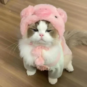 Pluszowa opaska na głowę dla kota i psa cosplay Różowy