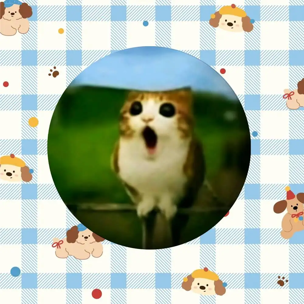 Przypinka z kotem mem kawaii broszka Jasny brąz