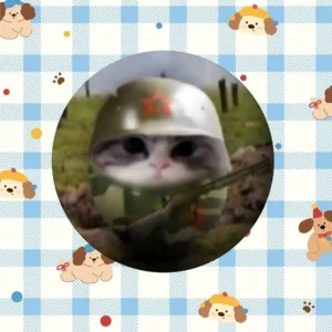Przypinka z kotem mem kawaii broszka Złoto
