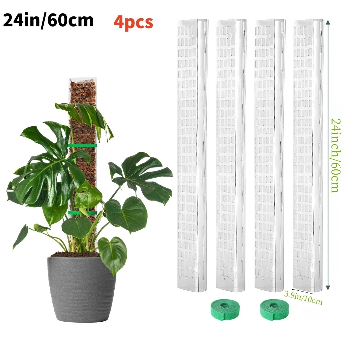 Słupek z mchu dla roślin pnących Monstera Niebieski