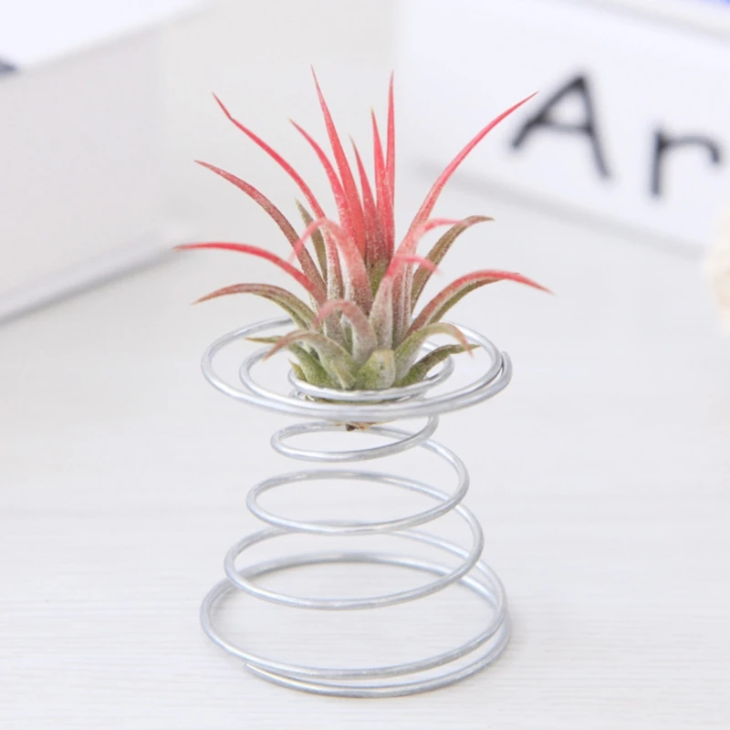 Drciany stojak na tillandsie i air plant