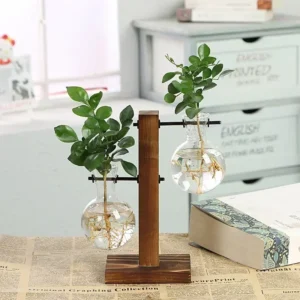Szklane terrarium na drewnianej ramie