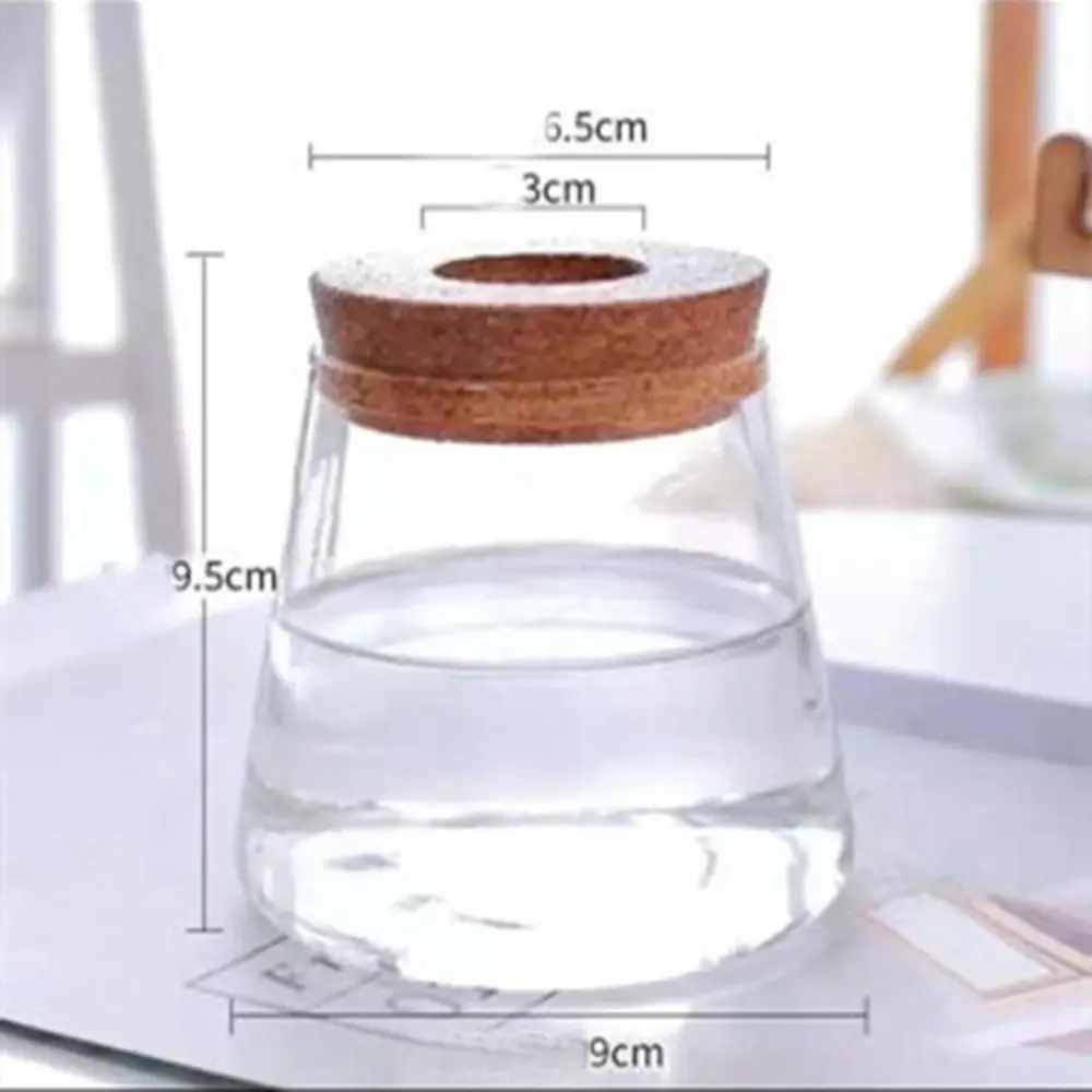 Szklany wazon hydroponiczny – mini terrarium na rośliny Biały
