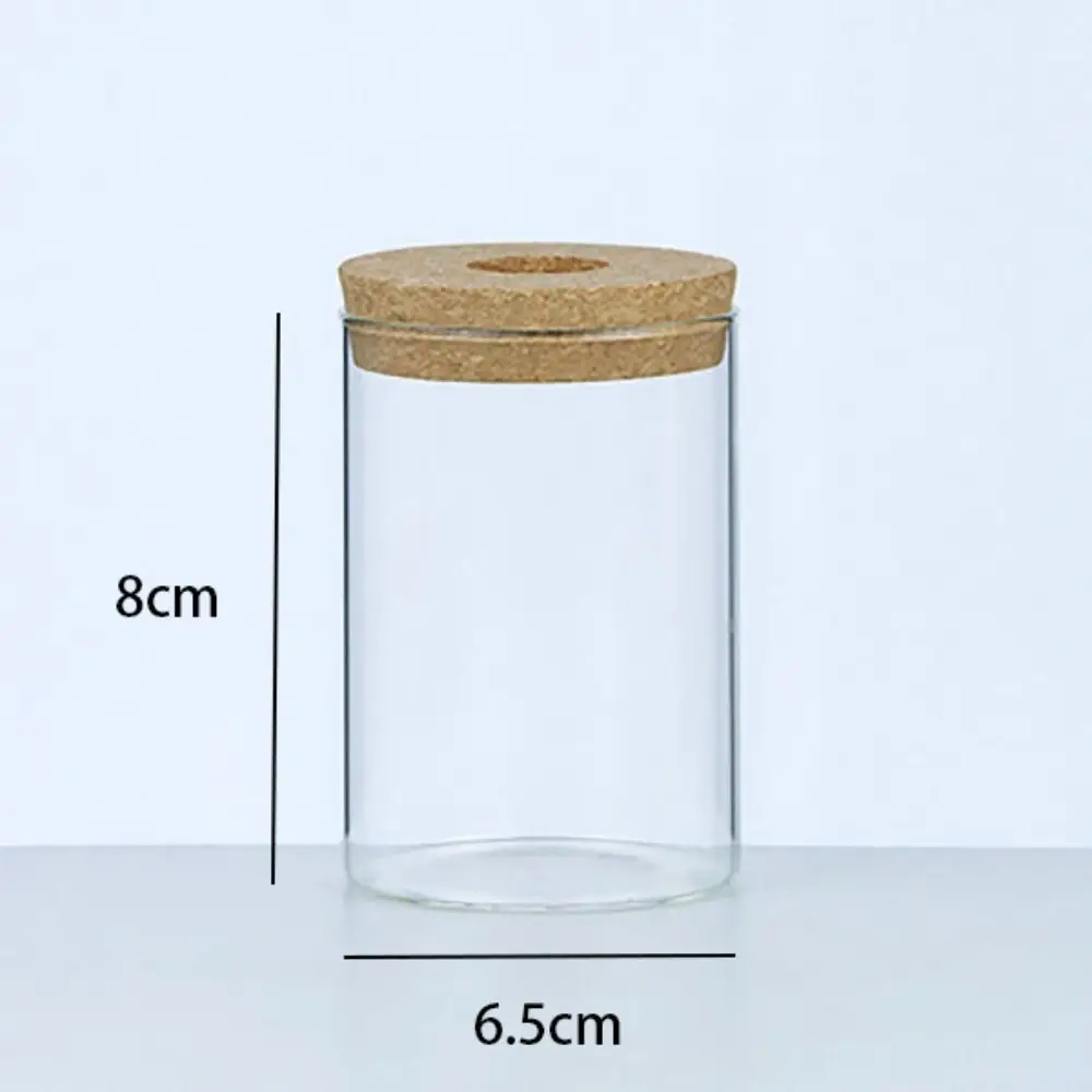 Szklany wazon hydroponiczny – mini terrarium na rośliny Czerwony
