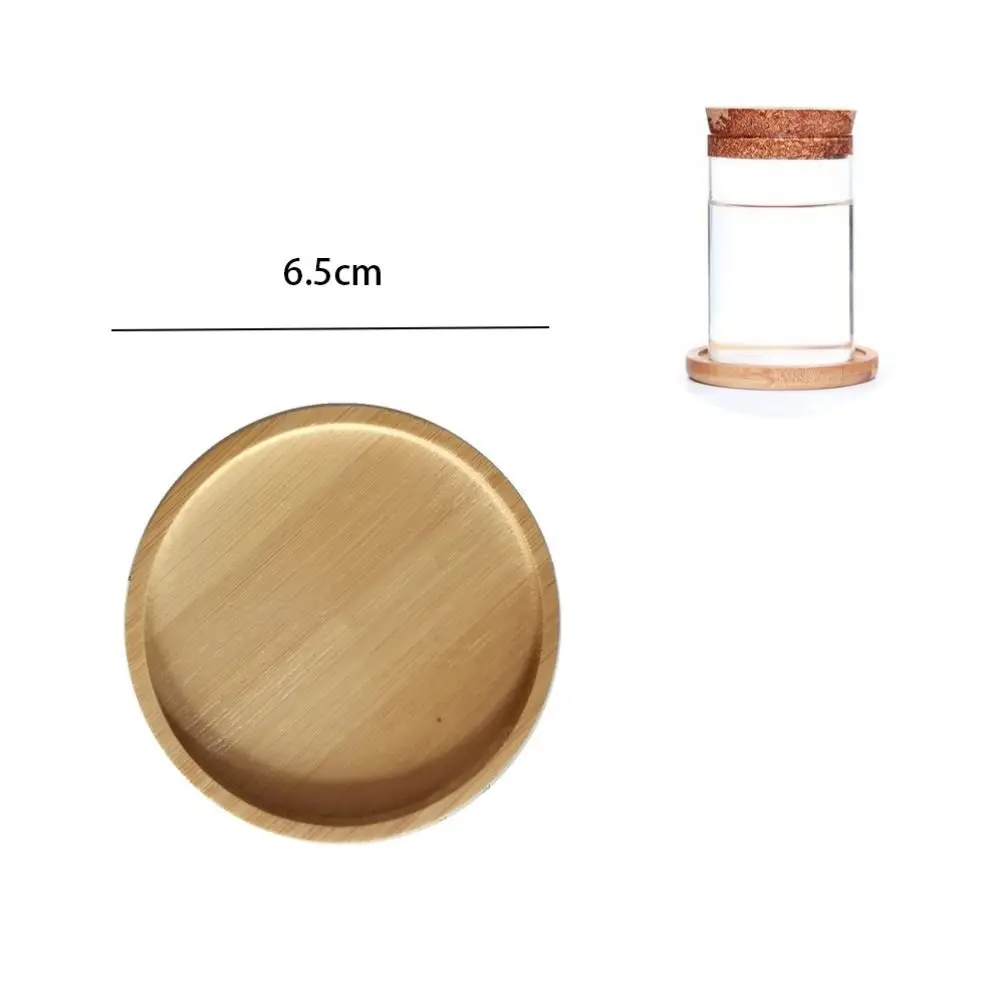 Szklany wazon hydroponiczny – mini terrarium na rośliny Zielony